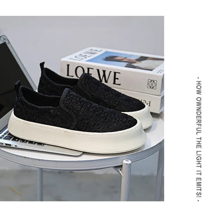2025 Autumn New Fashion Shallow Mouth Casual Canvas Shoes for Men Breathable Comfortable Niche Design Versatile Chunky Sneakers