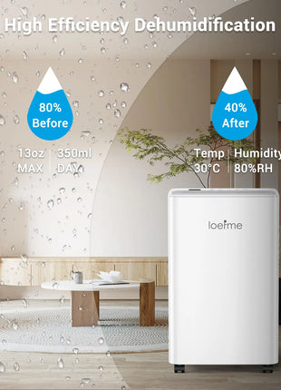 LOEFME Deumidificatore Elettrico Sbrinamento 24H Timer Smart Home Camera Da Letto Seminterrato Automatico 16L/24H 2L Serbatoio Acqua con Ruote Tubi