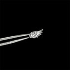 EGD-381-L