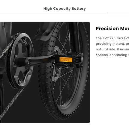 Bicicletta Elettrica Z20 PRO EVO 500W con Batteria 48V 14.5AH, Pneumatici Gonfiabili da 20 Pollici, E-Bike Urbana per Adulti