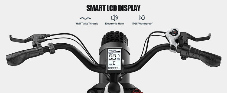 Bicicletta Elettrica G-FORCE RS ST per Tutti i Terreni, Potenza 750W, Batteria 48V15Ah, Bici Elettrica per Adulti, Pneumatici Larghi 20*4 Pollici per Tutti i Terreni