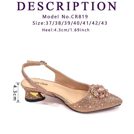 Venus Chan Royal Blue Sandals for Women 2024 Luxury Wedding Pumps Med Heels strass Design Party Shoes and Bags Set