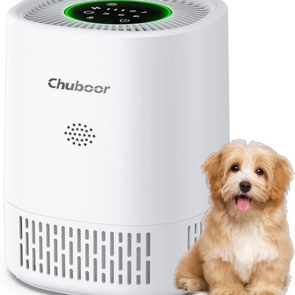 Chuboor Purificatori d'Aria per Camera da Letto Casa, Detergente per Filtri con Filtri in Spugna Allergie di Fumo Scatola di Animali Domestici Odore Polvere, Ufficio, Desktop