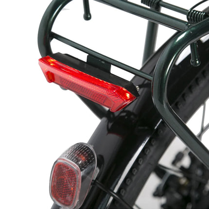 Bicicletta Elettrica Cityrun per Adulti, 26 Pollici, Unisex, Motore 250W, Batteria 36V/10Ah, Velocità Massima 25 km/h, Pedalata Assistita, Autonomia 70-90 km.