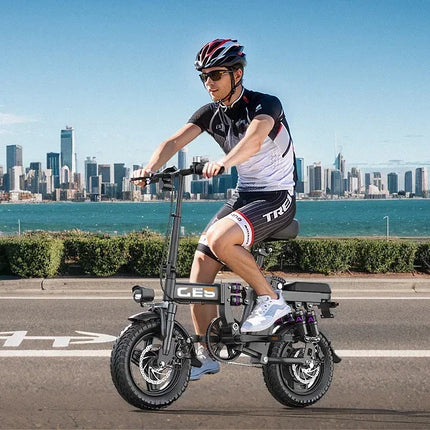 TOOFLY GE5 Folding Electric Bicycle 250W Motor 48V15AH Removable Lithium Battery Electric Bike for Adults City Riding Commuting Ebike