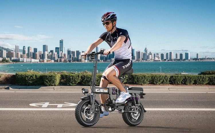 TOOFLY GE5 Bicicletta Elettrica Pieghevole 250W Motore 48V15AH Batteria Al Litio Rimovibile Bici Elettrica Per Adulti Città Equitazione Pendolarismo Ebike