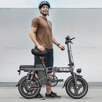 TOOFLY GE5 Folding Electric Bicycle 250W Motor 48V15AH Removable Lithium Battery Electric Bike for Adults City Riding Commuting Ebike