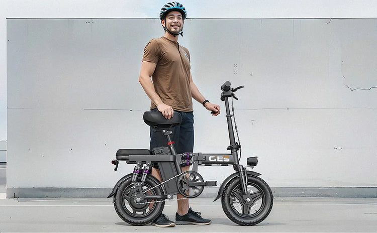 TOOFLY GE5 Bicicletta Elettrica Pieghevole 250W Motore 48V15AH Batteria Al Litio Rimovibile Bici Elettrica Per Adulti Città Equitazione Pendolarismo Ebike