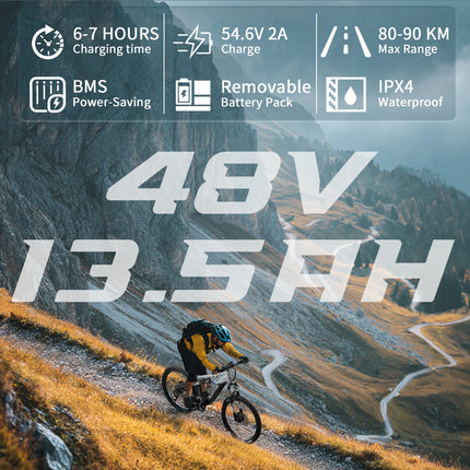 DUOTTS E29 E-bike con Motore 250W, Batteria al Litio 48V 13.5Ah, Bicicletta Elettrica con Pneumatici Fat da 27.5 Pollici, Velocità Fuoristrada 25 km/h