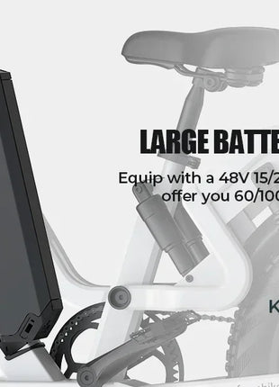 Bicicletta Elettrica G-FORCE RS ST per Tutti i Terreni, Potenza 750W, Batteria 48V15Ah, Bici Elettrica per Adulti, Pneumatici Larghi 20*4 Pollici per Tutti i Terreni