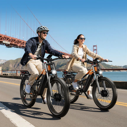 PULUMA PE86pro Bicicletta Elettrica 48V20Ah 1000W, Bici Elettrica da Città con Freni Idraulici, Doppio Motore, Mountain Bike Fuoristrada