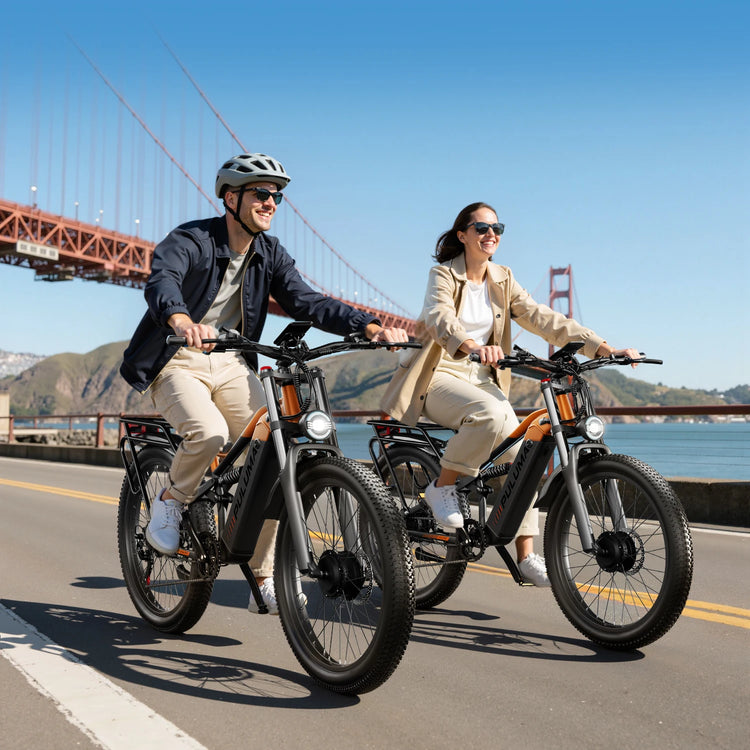 PULUMA PE86pro Bicicletta Elettrica 48V20Ah 1000W, Bici Elettrica da Città con Freni Idraulici, Doppio Motore, Mountain Bike Fuoristrada