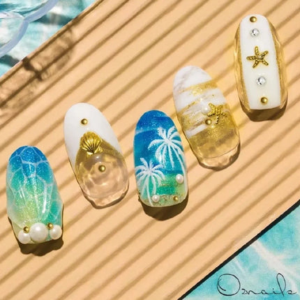 12 Grids Gold Nail Art Alloy Studs Seaside 3D Decorations Sea Shell Star Nail Charm Metal Frame Rivets Nail Sequin Accessories