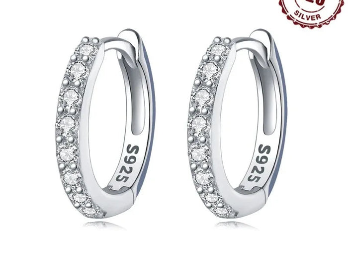925 Sterling Silver Shining Zircon Earrings for Women Vintage Simple Round Circle Hoop Earrings Designer Party Jewelry Gifts PlatiNum