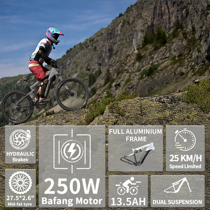 DUOTTS E29 E-bike con Motore 250W, Batteria al Litio 48V 13.5Ah, Bicicletta Elettrica con Pneumatici Fat da 27.5 Pollici, Velocità Fuoristrada 25 km/h
