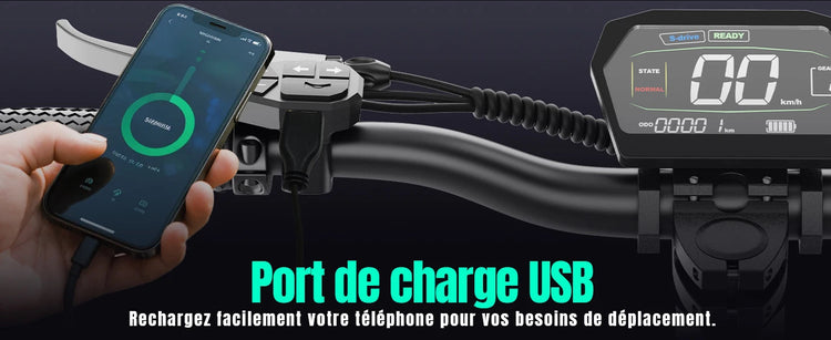 Scooter elettrici TODIMART G2, batteria 48 V 10,4 Ah, motore 500 W, pneumatici fuoristrada da 10 pollici, portata 40-45 km platinumshop
