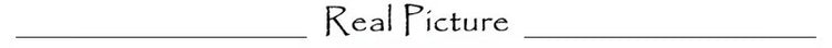 Seductive Latex Leather Women's Lingerie Sets Tempted Pu Leather Cutout Bra Thong Garter Belts 4PC Ultra Hot Sexy Erotic Costume