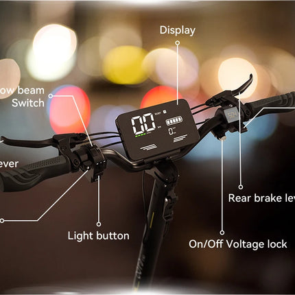 Monopattino elettrico OOTD T10, potenza di picco 900W, batteria 48V13AH, ruote da 11 pollici, monopattino portatile da città con luci a LED