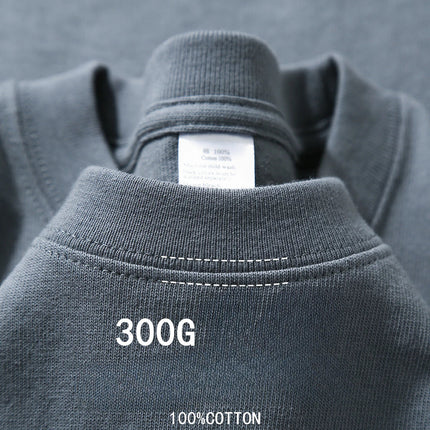 Beige 300g Heavyweight Cotton Short Sleeved T-shirt Summer Round Neck Loose and Base Shirt for Men Women Basic Tee PlatiNum