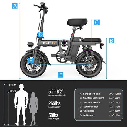 TOOFLY GE5 Folding Electric Bicycle 250W Motor 48V15AH Removable Lithium Battery Electric Bike for Adults City Riding Commuting Ebike
