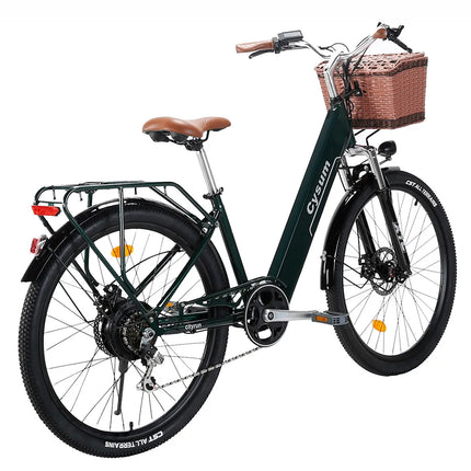 Bicicletta Elettrica Cityrun per Adulti, 26 Pollici, Unisex, Motore 250W, Batteria 36V/10Ah, Velocità Massima 25 km/h, Pedalata Assistita, Autonomia 70-90 km.