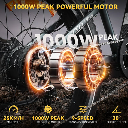 Bicicletta elettrica Heda TX19 1000W 48V 19.2AH Batteria al litio Freno a disco idraulico Pneumatici da 29 pollici Bicicletta elettrica da montagna per adulti
