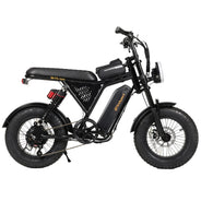 Bicicletta Elettrica Bodywel M16PRO con Pneumatici Larghi, E-bike a Lunga Autonomia 48V 15Ah, E-bicicletta All-Terrain 16"x4.0" per Adulti, Disponibile in Magazzino UE