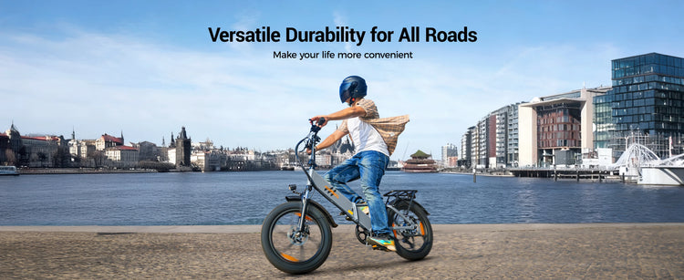 Bicicletta Elettrica Pieghevole HillMiles Mile2 per Adulti, Motore 250W, Batteria 36V13AH, Bici Elettrica da Città per Pendolari, Pneumatici Fat da 20 Pollici
