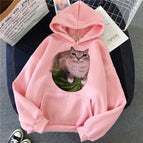 pink1091a