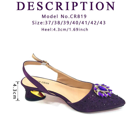 Venus Chan Royal Blue Sandals for Women 2024 Luxury Wedding Pumps Med Heels strass Design Party Shoes and Bags Set