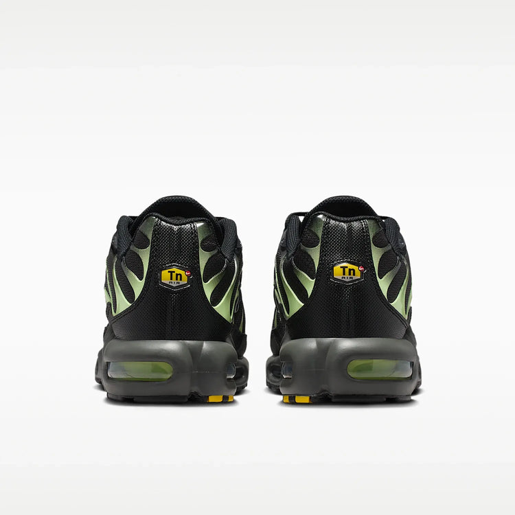 Nike Authentic Air Max Plus Men's Cushioned Sports Casual Shoes DM0032-035