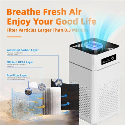 Purificatore d'aria portatile USB HOMEFISH con filtro per aromaterapia, fumo e odori, con filtro sostituibile per casa, auto e cucina
