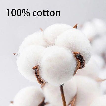 Men's All Seasons Plain Color Crew Neck Raglan Sleeve Long Sleeve Casual T-Shirt (Spring and Autumn) High-Quality Pure Cotton PlatiNum