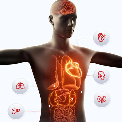 2026 Nuovo Misurazione Accurata Salute Smart Watch ECG + PPG Acido Urico Pressione Sanguigna Lipidi Nel Sangue Chiamata BT Smartwatch Per Le Donne Degli Uomini platinumshop