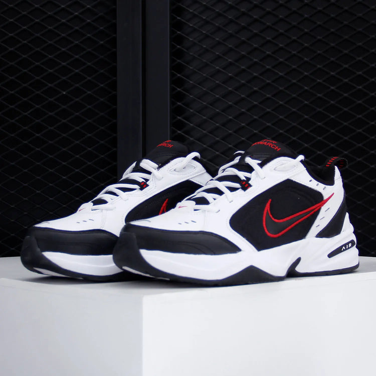 Scarpe da allenamento per papà Nike Air Monarch IV da uomo 415445 -101