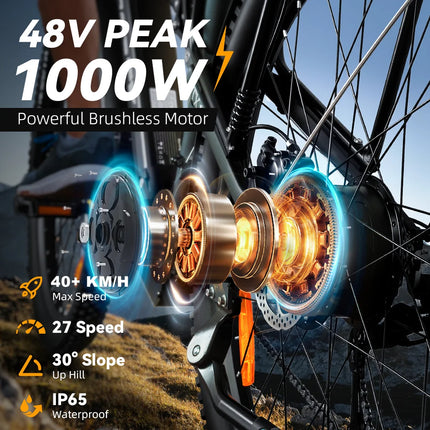 Bicicletta elettrica Heda TX19 1000W 48V 19.2AH Batteria al litio Freno a disco idraulico Pneumatici da 29 pollici Bicicletta elettrica da montagna per adulti