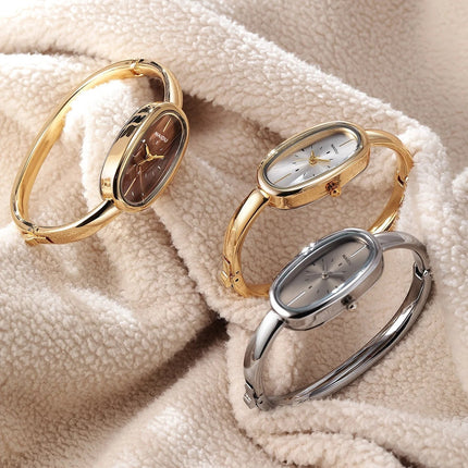 Orologio al Quarzo Classico da Uomo per Affari platinumshop
