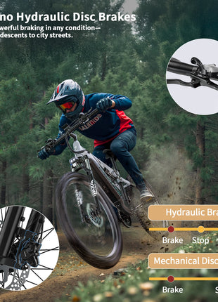 DUOTTS E29 E-bike con Motore 250W, Batteria al Litio 48V 13.5Ah, Bicicletta Elettrica con Pneumatici Fat da 27.5 Pollici, Velocità Fuoristrada 25 km/h