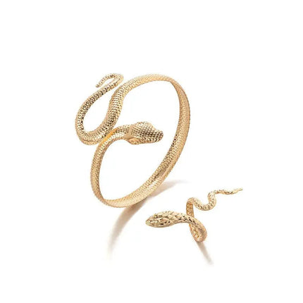 Offerta Speciale: Set di 2 Bracciali e Anelli a Forma di Serpente Punk, Bracciali Apribili a Spirale e Anelli per Dita, Gioielli per Mani Unisex platinumshop