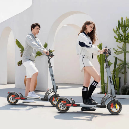Monopattino Elettrico Pieghevole IENYRID A1 800W/48V/12.5 AH, Velocità Massima 45KM/h, Autonomia 20-30KM, E-Scooter Urbano per Adulti